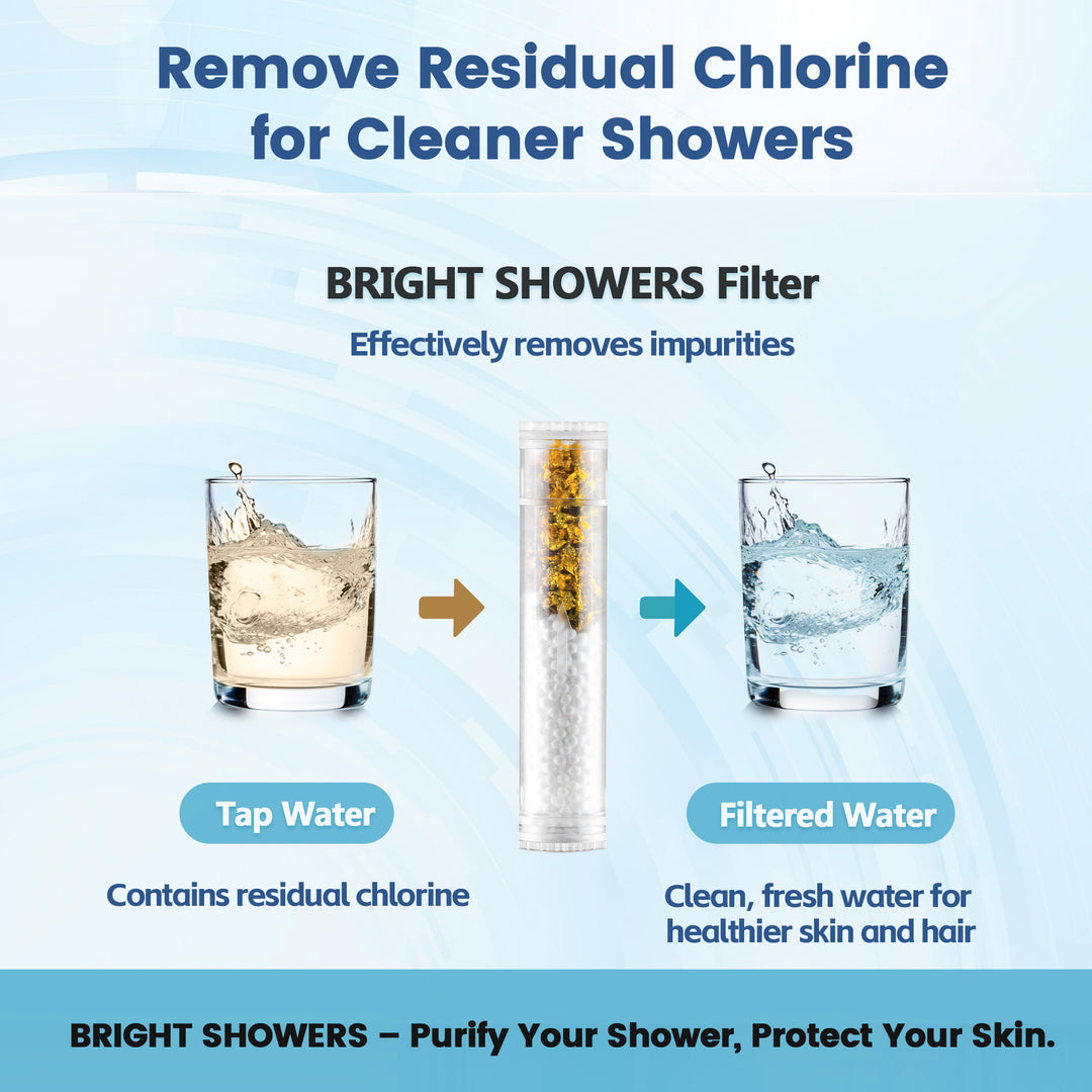 Bright Showers Replacement Filter Cartridges for Handheld Shower Head, 2-Pack